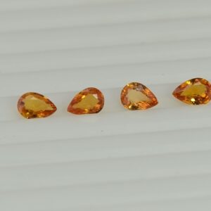DSC 0376