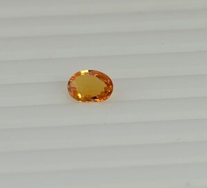 DSC 0381