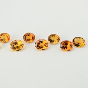 eDSC 0753