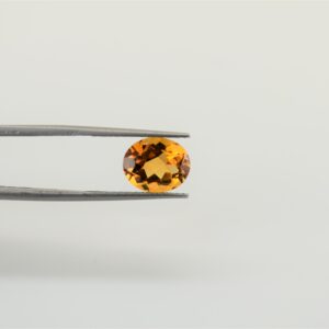 eDSC 0757