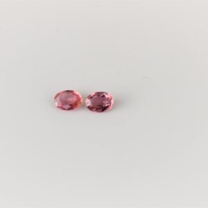 eDSC 0759