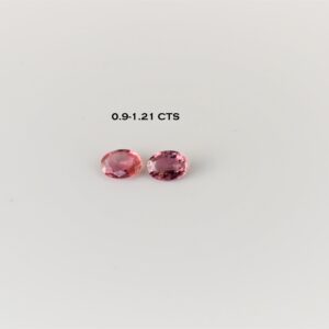 eDSC 0760
