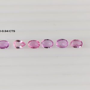 eDSC 0767 1