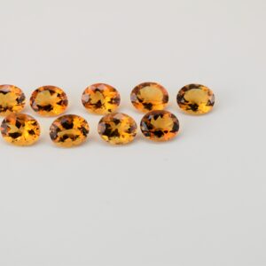 eDSC 0767