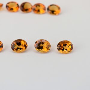 eDSC 0770
