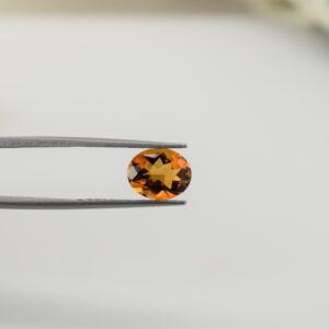 eDSC 0772