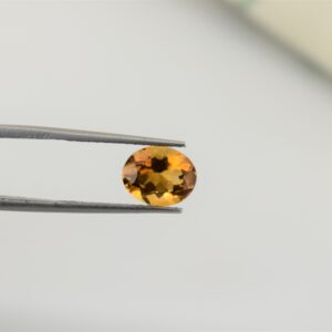 eDSC 0773