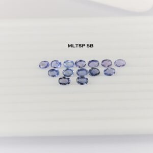 eDSC 0778