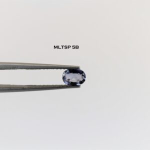 eDSC 0779
