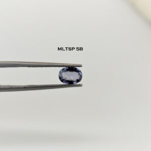 eDSC 0780