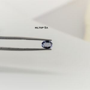 eDSC 0786