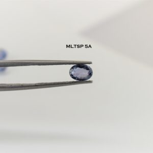 eDSC 0788