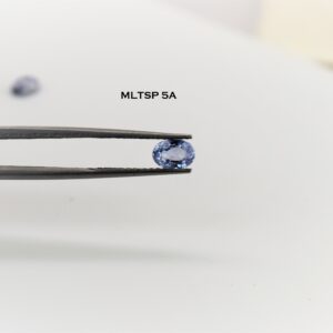eDSC 0789