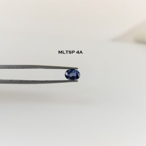eDSC 0800