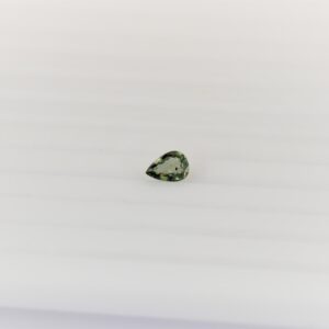 eDSC 0823