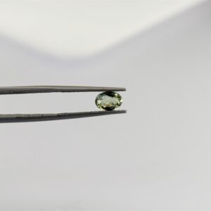 eDSC 0835