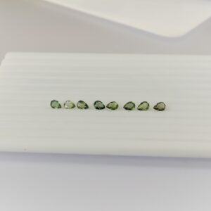 eDSC 0838