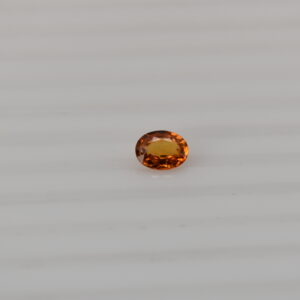 DSC 0003