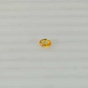 DSC 0155