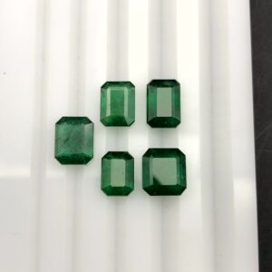EMOC8697 B1 DT KHU 5