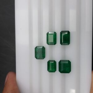 EMOC8697 B1 DT KHU 6
